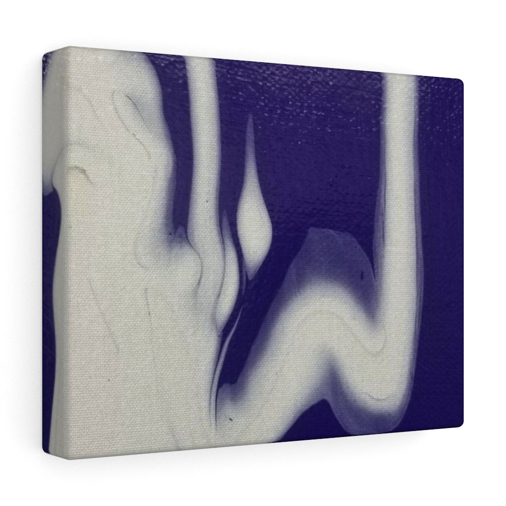 Canvas Gallery Wraps